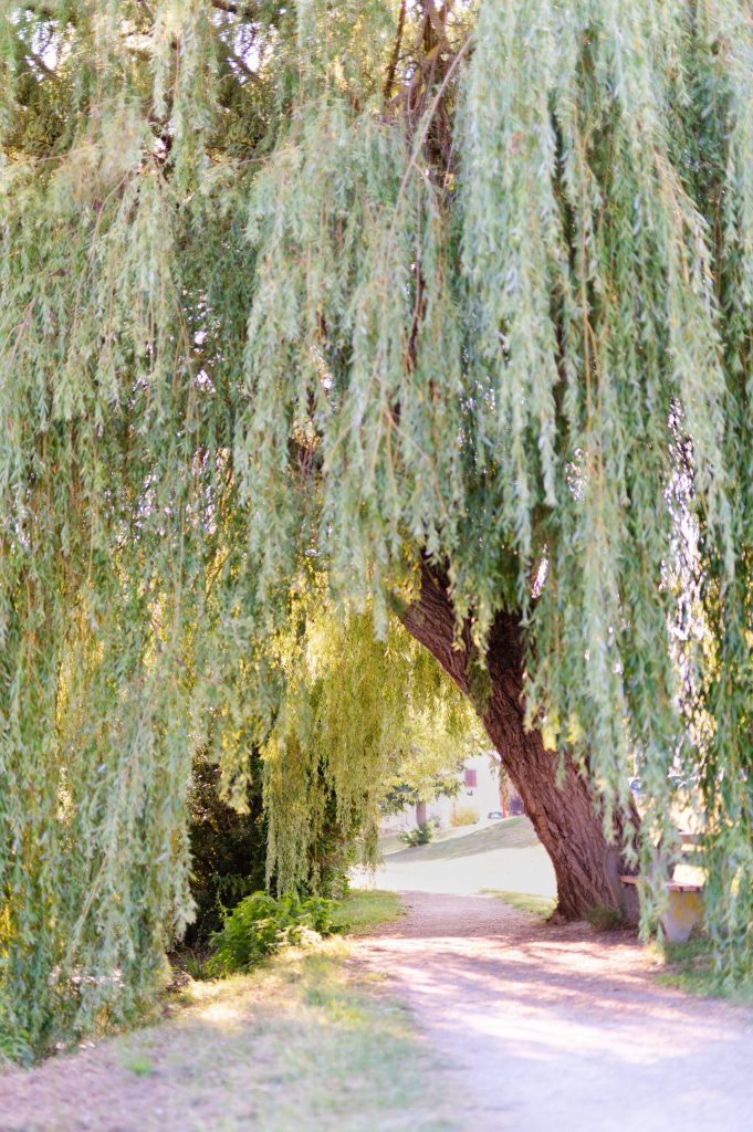 Photographe strasbourg bas-rhin alsace Photographe strasbourg bas-rhin alsace