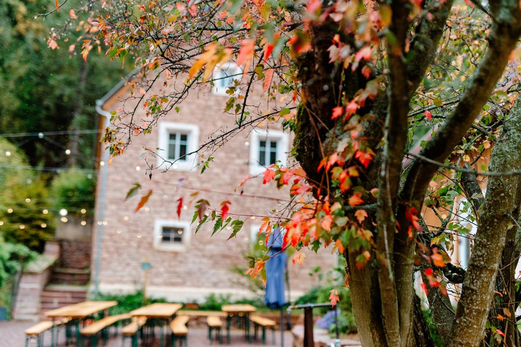 Mariage Orangerie du Manoir Oberhaslach Mariage Orangerie du Manoir Oberhaslach